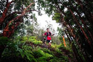 BIB: 
                            <button type="button" onclick="openModal(26201630)" class="btn btn-primary btn-sm float-right btn-popup" data-toggle="modal" data-target=".modal-high-quality">
                        <i class="fas fa-shopping-cart"></i> Add to Cart
                    </button>
                                            <button type="button" onclick="isThisMe(26201630, true)" class="btn btn-success btn-sm float-right btn-popup btn-isme hidden" data-toggle="tooltip" data-placement="bottom" title="นี่คือรูปของคุณใช่ไหม คลิกที่นี่เพื่อเอาเข้าอัลบั้ม">
                        <i class="fas fa-plus"></i> Add to album
                    </button>
                    <button type="button" onclick="isThisMe(26201630, false)" class="btn btn-warning btn-sm float-right btn-popup btn-isnotme hidden">
                        <i class="fas fa-ban"></i> Remove from album
                    </button>